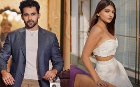 Bigg Boss 19:जानिए कौन हैं आकांक्षा जिंदल, जिसने घर वालों से लड़कर अभिषेक से की थी शादी