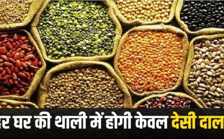 Modi 3.0 Government:अब विदेशी दाल नहीं मंगानी पड़ेगी, मोदी सरकार का बनाया ये मास्टरप्लान