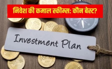 Best Investment Scheme:हर महीने केवल ₹1000 से बनेगा लाखों का फंड, जानिए कौन सी स्कीम है बेस्ट