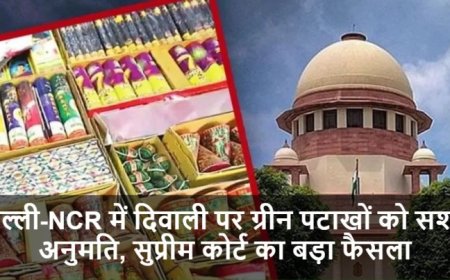 Diwali 2025:दिल्ली-NCR में दिवाली पर ग्रीन पटाखों को सशर्त अनुमति, सुप्रीम कोर्ट का बड़ा फैसला