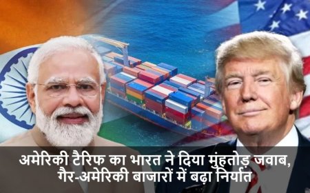 India Exports Market:अमेरिकी टैरिफ का भारत ने दिया मुंहतोड़ जवाब, गैर-अमेरिकी बाजारों में बढ़ा निर्यात