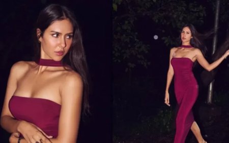 Sonam Bajwa:सोनम ने बॉलीवुड में आते ही मचाई धूम, लगातार दी 3 हिट फिल्में