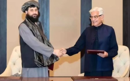 Doha Ceasefire:दोहा में PAK-अफगानिस्तान के बीच सीजफायर पर बनी सहमति, अब तुर्की में वार्ता