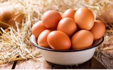 Egg Storage:अंडे फ्रिज में रखने चाहिए या बाहर? जानें क्या कहता है विज्ञान और आपके लिए क्या है सही तरीका