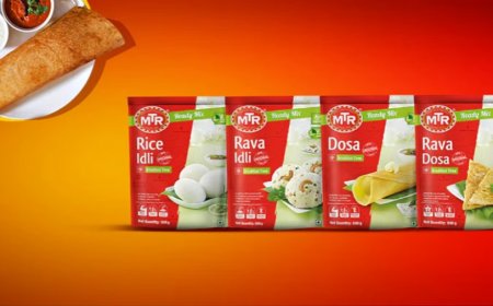 Orkla India IPO: ₹1667 करोड़ का इश्यू 29 अक्टूबर से खुलेगा, निवेश से पहले जानें सभी बड़े जोखिम