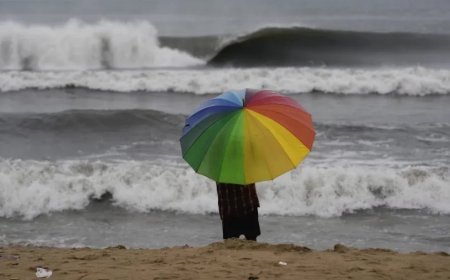Cyclone Montha:चक्रवाती तूफान 'मोन्था' ने आंध्र प्रदेश में मचाई भारी तबाही, जनजीवन अस्त-व्यस्त