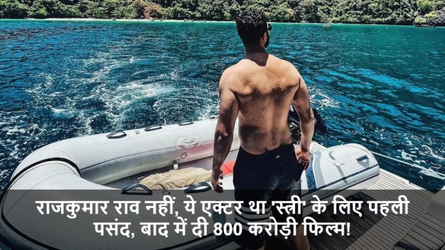 Vicky Kaushal:राजकुमार राव नहीं, ये एक्टर था 'स्त्री' के लिए पहली पसंद, बाद में दी 800 करोड़ी फिल्म!