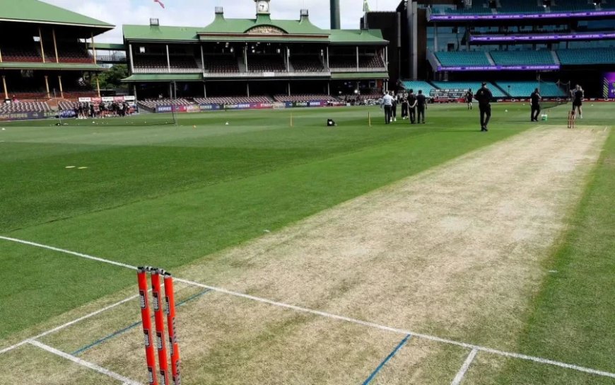 IND vs AUS:सिडनी की पिच पर बल्लेबाजों का दिखेगा कमाल या गेंदबाज रहेंगे हावी? जानें क्या कहती है रिपोर्ट