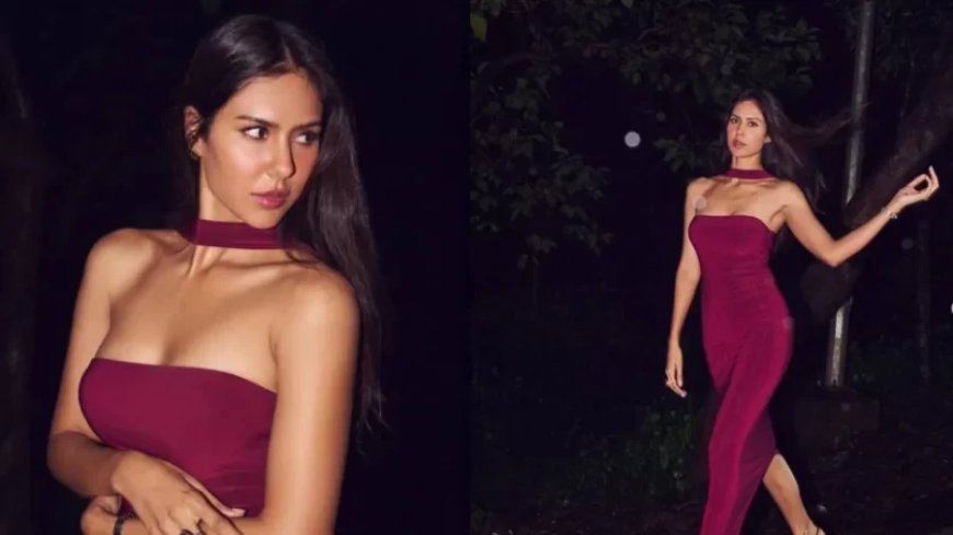 Sonam Bajwa:सोनम ने बॉलीवुड में आते ही मचाई धूम, लगातार दी 3 हिट फिल्में