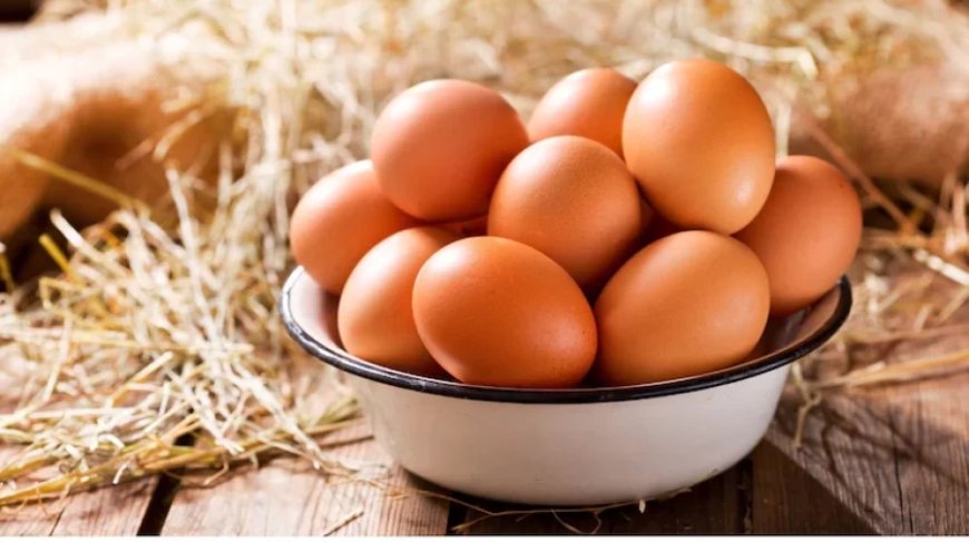 Egg Storage:अंडे फ्रिज में रखने चाहिए या बाहर? जानें क्या कहता है विज्ञान और आपके लिए क्या है सही तरीका