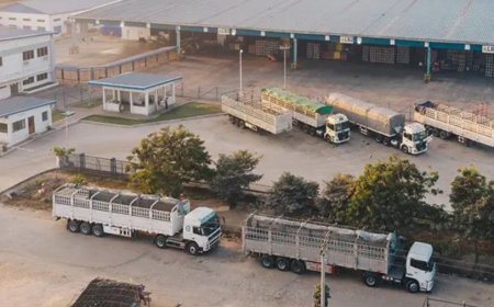 Jayesh Logistics IPO Listing:निवेशकों को तगड़ा झटका, डिस्काउंट पर लिस्टिंग के बाद लोअर सर्किट