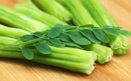 Weight Loss Tips:सहजन से घटेगा वजन, बढ़ेगी सेहत: जानिए इस सुपरफूड के चमत्कारी फायदे और सेवन के तरीके