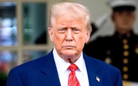 Trump Tariffs:टैरिफ पर ट्रंप का बड़ा दावा: हर अमेरिकी को 2000 डॉलर देने का वादा, विरोधियों को बताया 'मूर्ख'