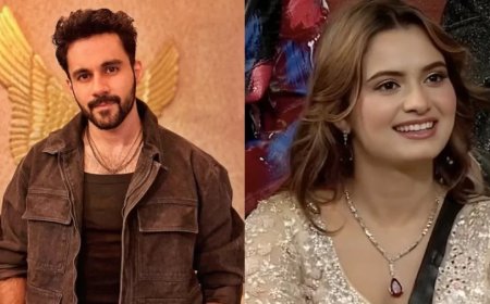 Bigg Boss 19 Eviction:दोस्त की एक गलती से अभिषेक बजाज और नीलम गिरी हुए बाहर, डबल एविक्शन का बड़ा झटका