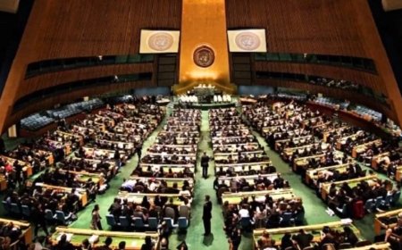 Gaza Peace Summit:संयुक्त राष्ट्र सुरक्षा परिषद ने गाजा पीस प्लान को दी मंजूरी, अंतरराष्ट्रीय बल की तैनाती पर बनी सहमति