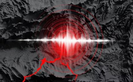 Pakistan Earthquake:पाकिस्तान में भूकंप के तेज झटके, रिक्टर स्केल पर 5.2 तीव्रता दर्ज