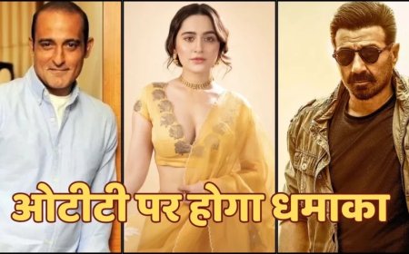 Bollywood News:बड़े पैमाने पर बनी फिल्म सीधे ओटीटी पर होगी रिलीज, मेकर्स को भारी उम्मीदें
