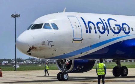 IndiGo Bird Strike:ऋषिकेश में इंडिगो विमान से पक्षी टकराया, 186 यात्री सुरक्षित, बड़ा हादसा टला