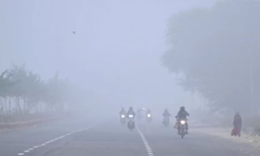 Rajasthan Cold Wave:राजस्थान में शीतलहर का प्रकोप: 13 शहरों में पारा 10 डिग्री से नीचे, सीकर में येलो अलर्ट