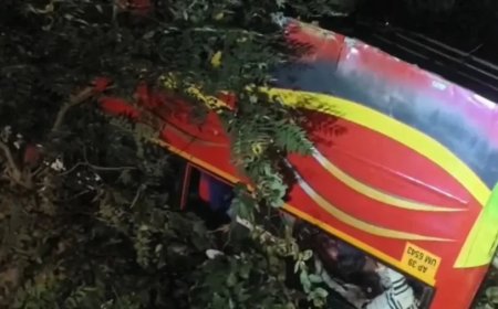 Bus Accident:आंध्र प्रदेश में भीषण बस हादसा- गहरी खाई में गिरी बस, 9 श्रद्धालुओं की मौत, कई गंभीर घायल