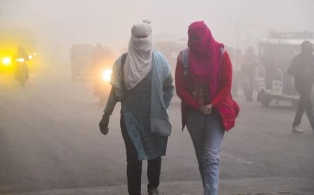 Delhi Weather Update:दिल्ली में बारिश की संभावना नहीं, 13 राज्यों में कोहरा और कड़ाके की ठंड का अलर्ट जारी