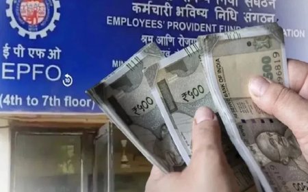 EPFO New Rules:EPFO का ऐतिहासिक फैसला: नौकरी बदलने वालों को बड़ी राहत, नॉमिनी को भी मिलेंगे पूरे फायदे
