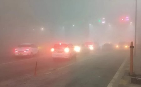 Noida Weather:नोएडा में कोहरे, ठंड और प्रदूषण का तिहरा वार: AQI गंभीर स्तर पर, येलो अलर्ट जारी