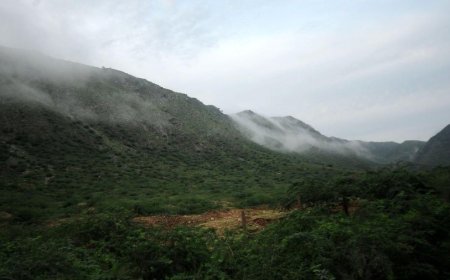 Aravalli Hills:अरावली का संकट: खनन से सिकुड़ती पर्वतमाला, 1990 से अब तक की पूरी कहानी
