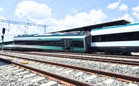 Mexico Train Derailment:दक्षिणी मेक्सिको में भीषण ट्रेन हादसा: 13 की मौत, 98 घायल, यातायात ठप