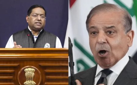 India Pakistan Minority:अल्पसंख्यकों के मुद्दे पर भारत ने पाकिस्तान को लगाई लताड़, अपने रिकॉर्ड पर झांकने की दी सलाह