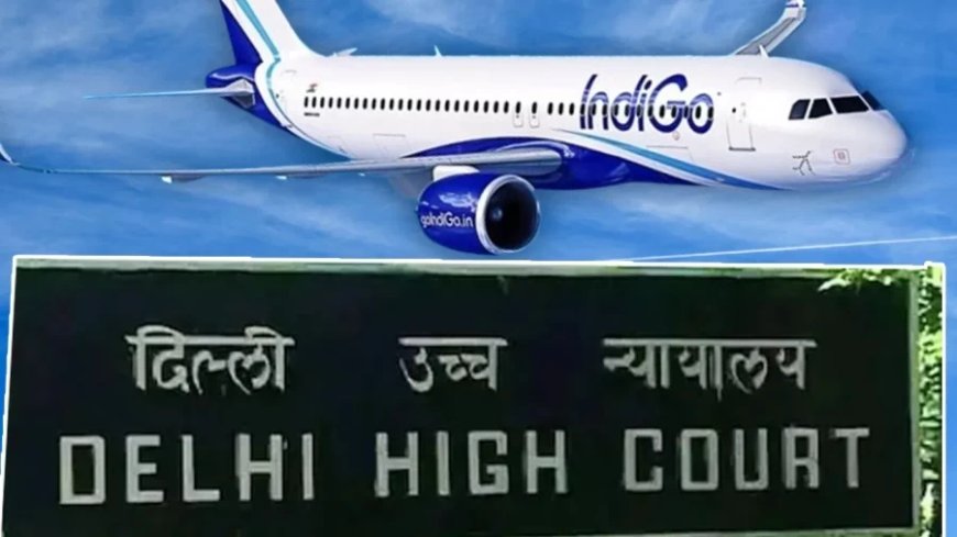 Indigo Crisis News:इंडिगो संकट: दिल्ली हाई कोर्ट का कड़ा रुख, एयरलाइन और सरकार को फटकारा