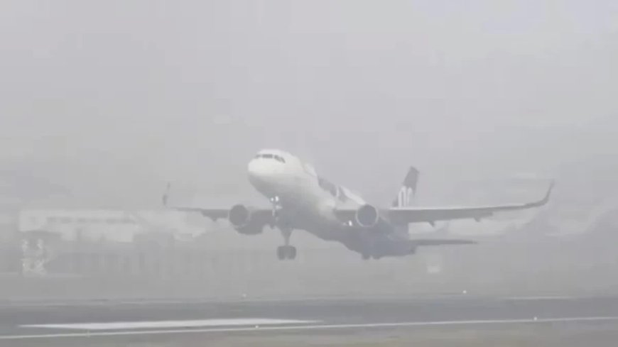 Delhi Airport Advisory:दिल्ली-एनसीआर में घना कोहरा, विजिबिलिटी शून्य; एयरपोर्ट ने जारी की एडवाइजरी