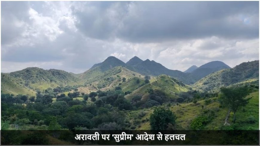 Aravalli Hills:एक 'सुप्रीम' आदेश से अरावली क्यों चर्चा में, मची हलचल; कैसे अभियान बना इसके संरक्षण का मुद्दा?