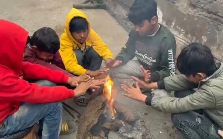 Rajasthan Weather:राजस्थान में बारिश, कोहरा और शीतलहर से नए साल का स्वागत; IMD ने 18 जिलों में जारी किया अलर्ट
