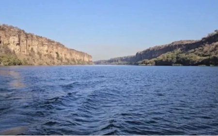 Kota Gharial Sanctuary:कोटा को नए साल का 'बंपर' तोहफा: 40 हजार घरों के पट्टों का रास्ता साफ, चंबल घड़ियाल अभ्यारण्य की पाबंदी हटी