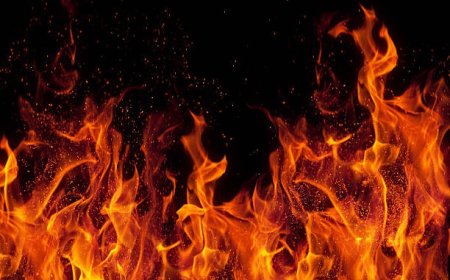 DMRC Staff Quarter Fire:दिल्ली मेट्रो स्टाफ क्वार्टर में भीषण आग, पति-पत्नी और मासूम बच्ची की दर्दनाक मौत