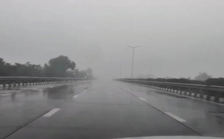 Delhi Weather Update:दिल्ली-एनसीआर में कड़ाके की ठंड के बीच बारिश, बढ़ी लोगों की मुश्किलें