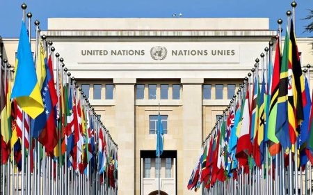 United Nations:यूएन में भारत ने पाकिस्तान को जमकर लताड़ा, कश्मीर पर एजेंडे की हवा निकली