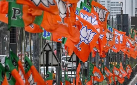 BJP President Election:भाजपा को 20 जनवरी को मिलेगा नया अध्यक्ष: नितिन नबीन का निर्विरोध चुना जाना तय, बनेंगे सबसे युवा अध्यक्ष