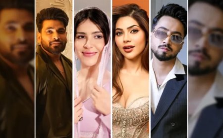 :The 50 Reality Show: फराह खान के शो में दिखेंगे ये 50 चेहरे, देखें कंटेस्टेंट्स की पूरी लिस्ट