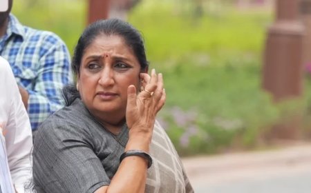 :क्या सुनेत्रा पवार बनेंगी महाराष्ट्र की नई डिप्टी सीएम? नरहरि जिरवाल का बड़ा बयान