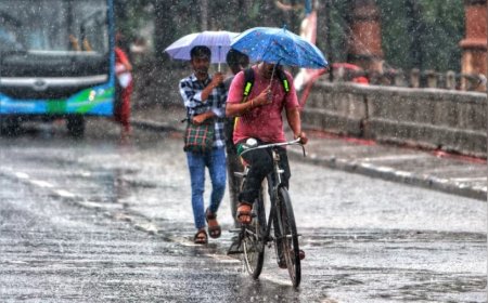 :उत्तर भारत में 14 फरवरी तक ठंड, 9 राज्यों में बारिश का अलर्ट