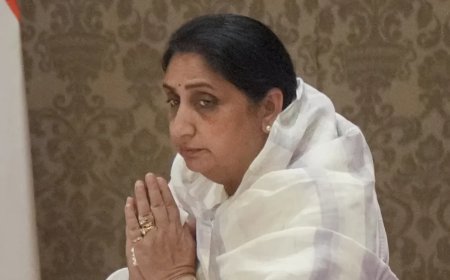 :सुनेत्रा पवार संभालेंगी एनसीपी की कमान, बारामती उपचुनाव और सरकार में बढ़ी भूमिका