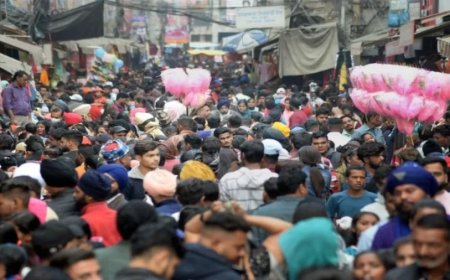 Gujarat Census 2026: Government Announces Schedule and Appoints Nodal Officers