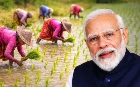 पीएम किसान योजना: 22वीं किस्त पर बड़ा अपडेट, इस दिन आ सकते हैं ₹2000