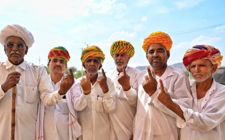 राजस्थान सरकार ने 113 नगरीय निकायों के चुनाव टालने हेतु सुप्रीम कोर्ट में याचिका दी