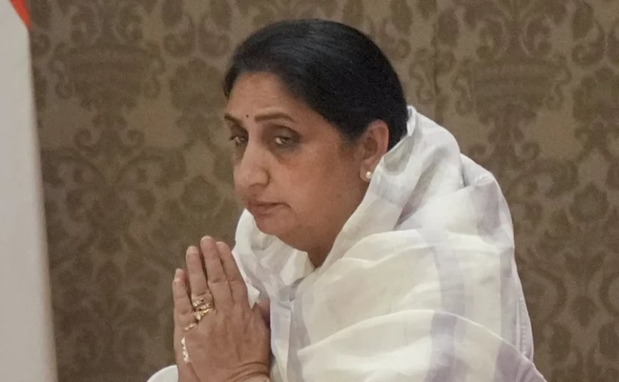 :सुनेत्रा पवार संभालेंगी एनसीपी की कमान, बारामती उपचुनाव और सरकार में बढ़ी भूमिका