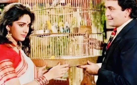 दामिनी: होली के दृश्य ने बदली थी फिल्म की कहानी, 30 साल बाद भी चर्चा