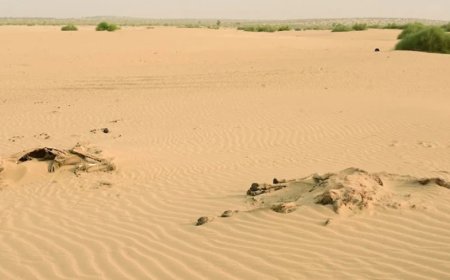 राजस्थान मौसम: 13 जिलों में पारा 35°C के पार, गर्मी और बढ़ेगी