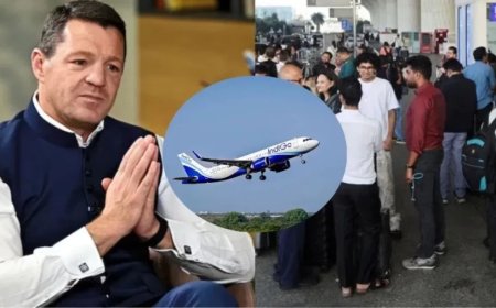 इंडिगो के CEO पीटर एल्बर्स का इस्तीफा, राहुल भाटिया संभालेंगे कमान